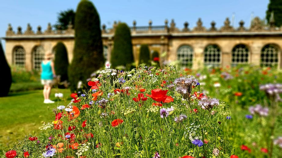 Chatsworth House Taxi